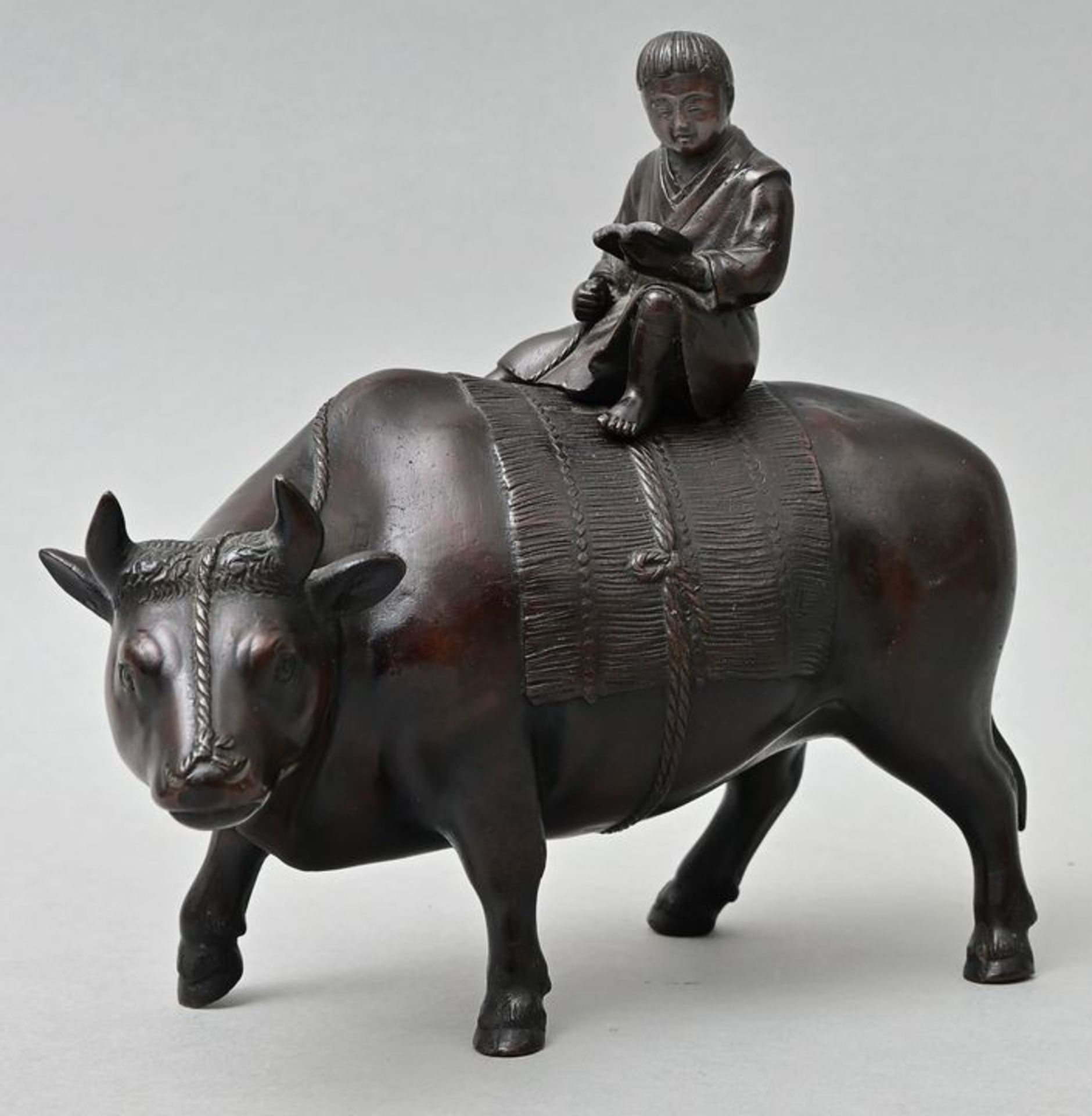 Junge auf Wasserbüffel/ boy riding on a water buffalo