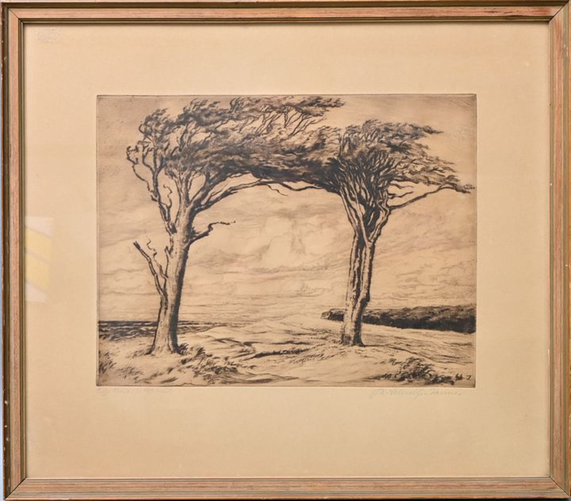 Schultze-Jasmer, Kiefern / Schultze-Jasmer, Pine trees - Image 4 of 5