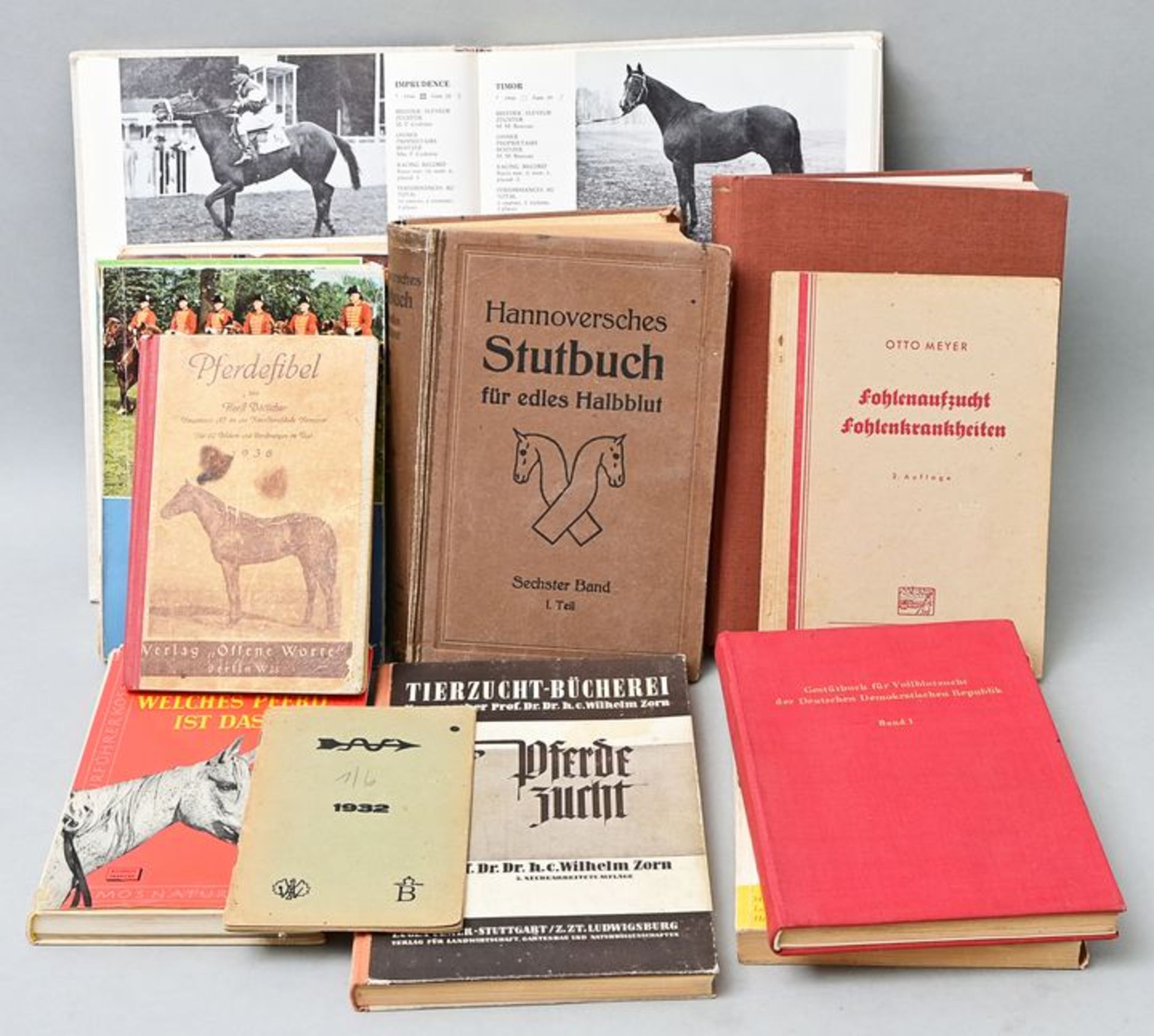 Posten Pferdebücher / books about horses