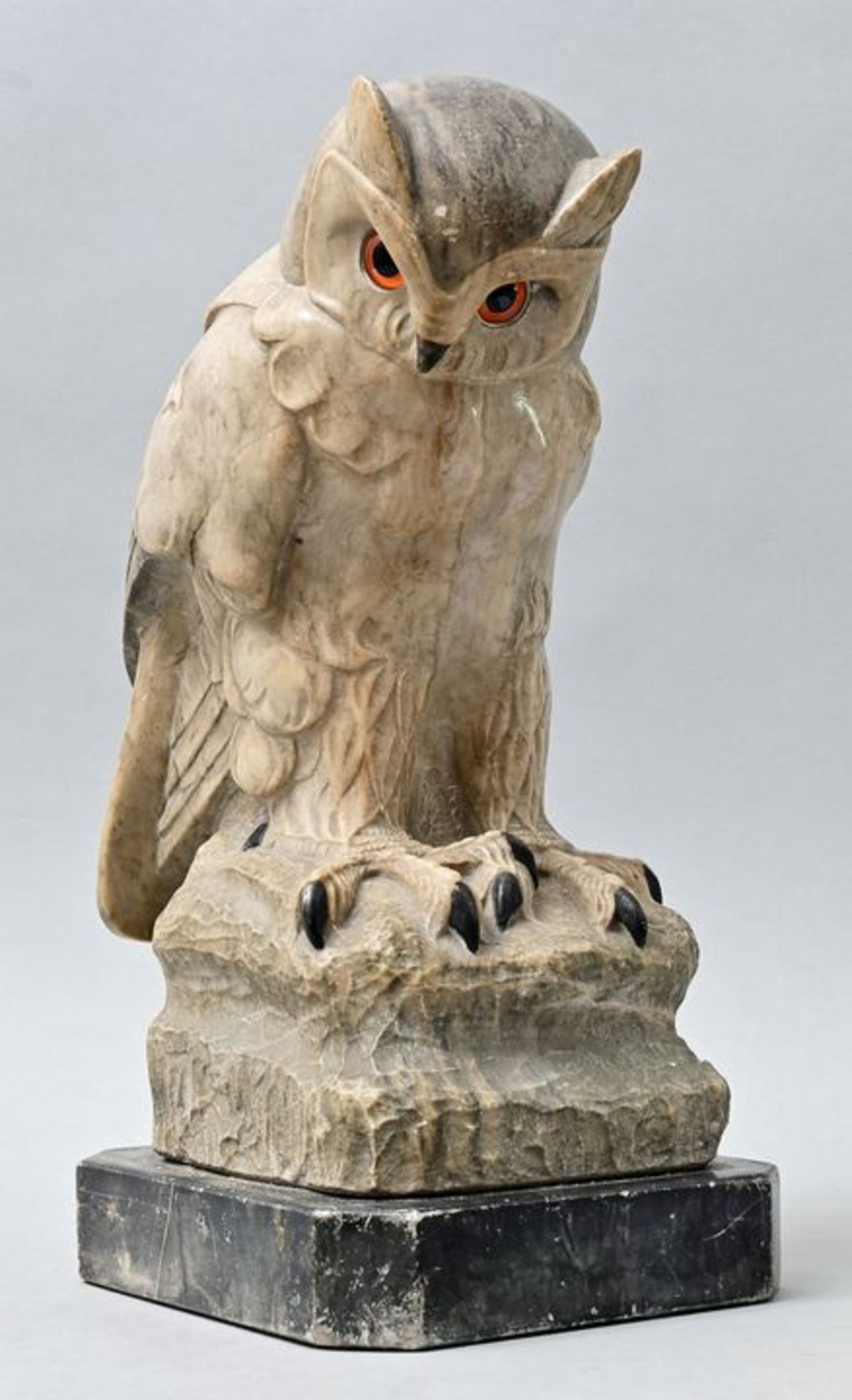 unbekannt, Eule / unknown, Owl