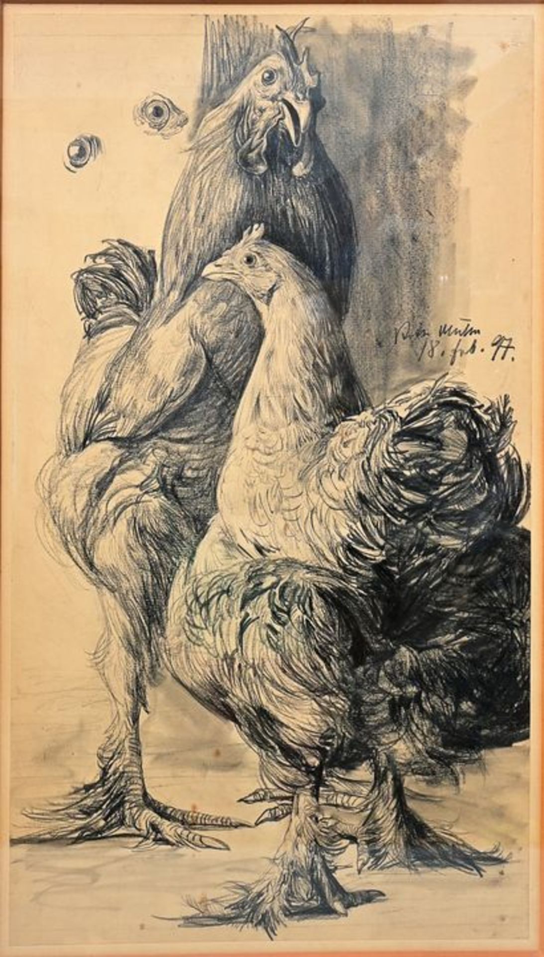Müller, R. Hahn und Henne / Muller, R. Pair of poultry