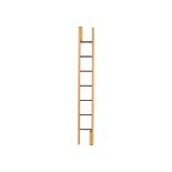 A BRASS STUDDED LEATHER CLAD METAMORPHIC POLE LADDER