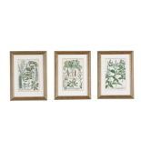 A SET OF THREE HAND COLOURED BOTANTICAL PRINTS