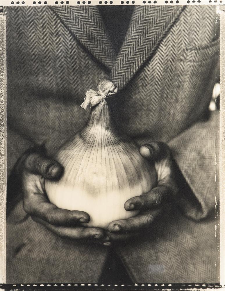 λ TESSA TRAEGER (BRITISH B. 1938), A MAMMOTH IMPROVED ONION, NORTH DEVON,1990 - Image 2 of 3