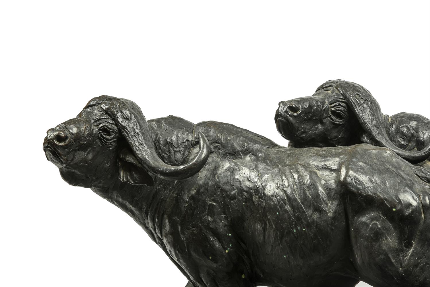 ROBERT GLEN (KENYAN b. 1940), A BRONZE GROUP OF CAPE BUFFALO - Image 2 of 4