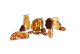 A COLLECTION OF TWELVE VARIOUS PIECES OF AMBER