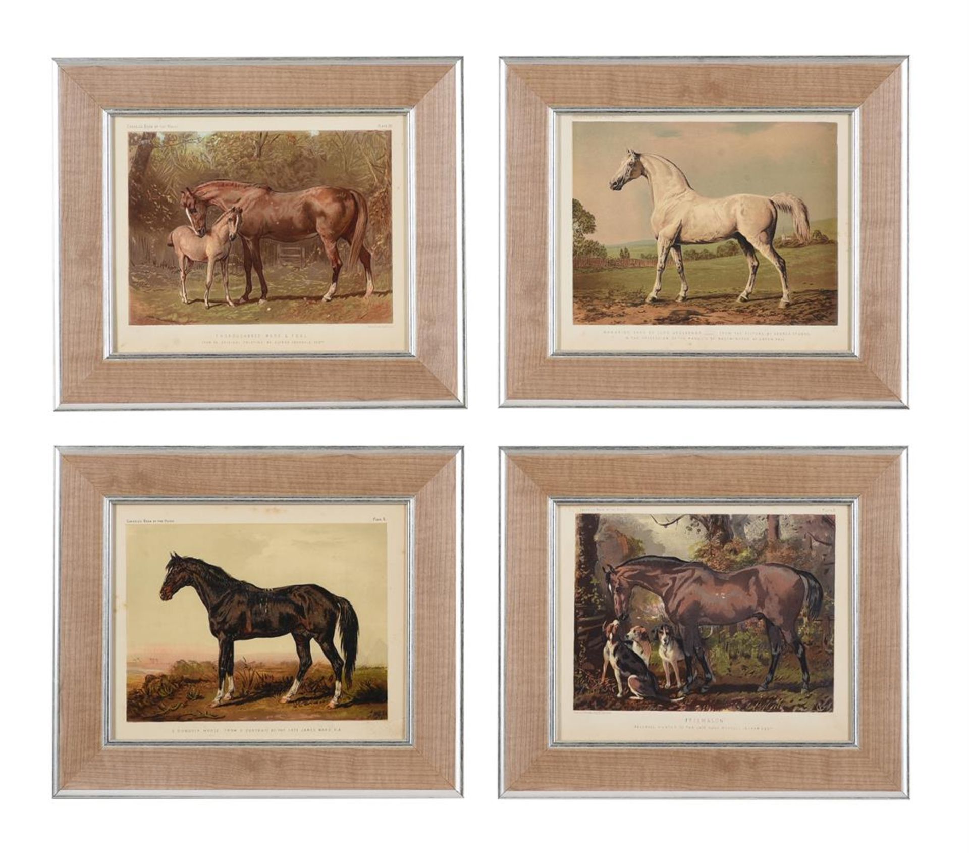 A SET OF TWELVE PRINTS DEPICTING HORSES