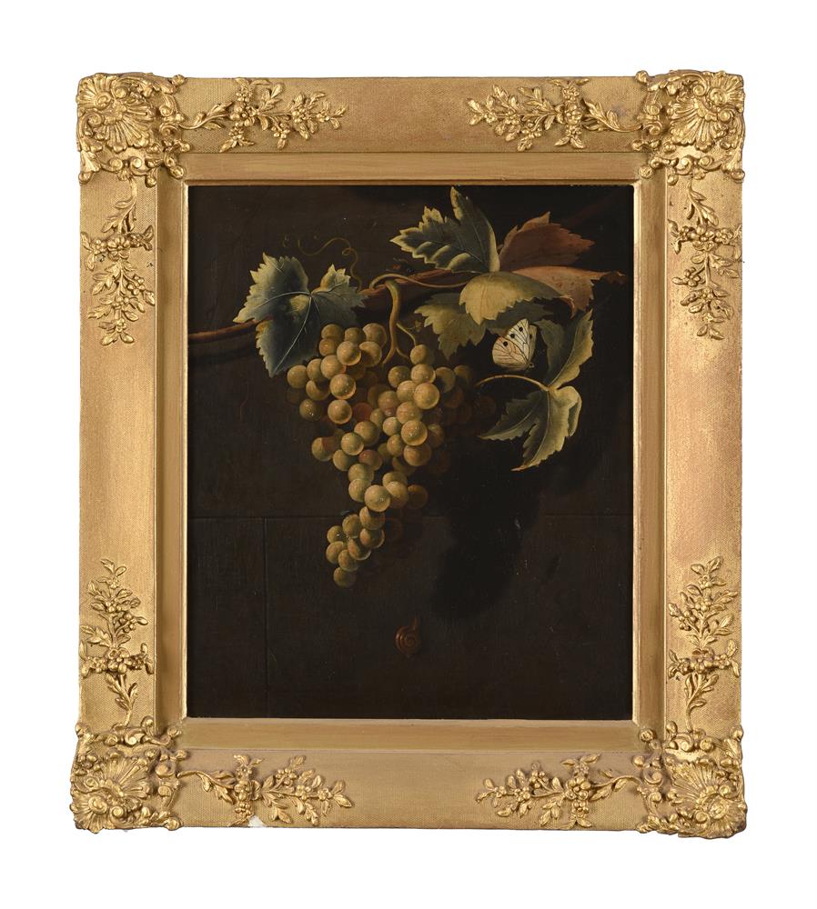 THOMAS LONGFORD (18TH CENTURY), A BUNCH OF GRAPES ON A VINE - Image 2 of 3