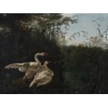FOLLOWER OF JAN WEENIX, TWO SWANS DISTURBED BY A DOG
