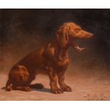 GERMAN SCHOOL (EARLY 20TH CENTURY), A YAWNING DACHSHUND