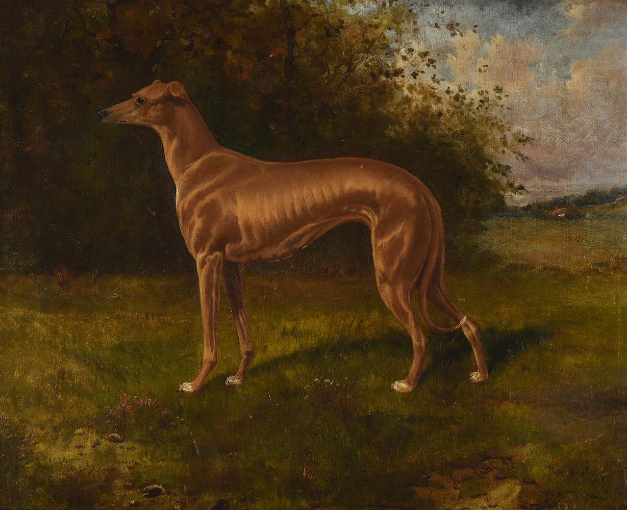 JAMES CLARK (BRITISH 1858-1943), A GREYHOUND