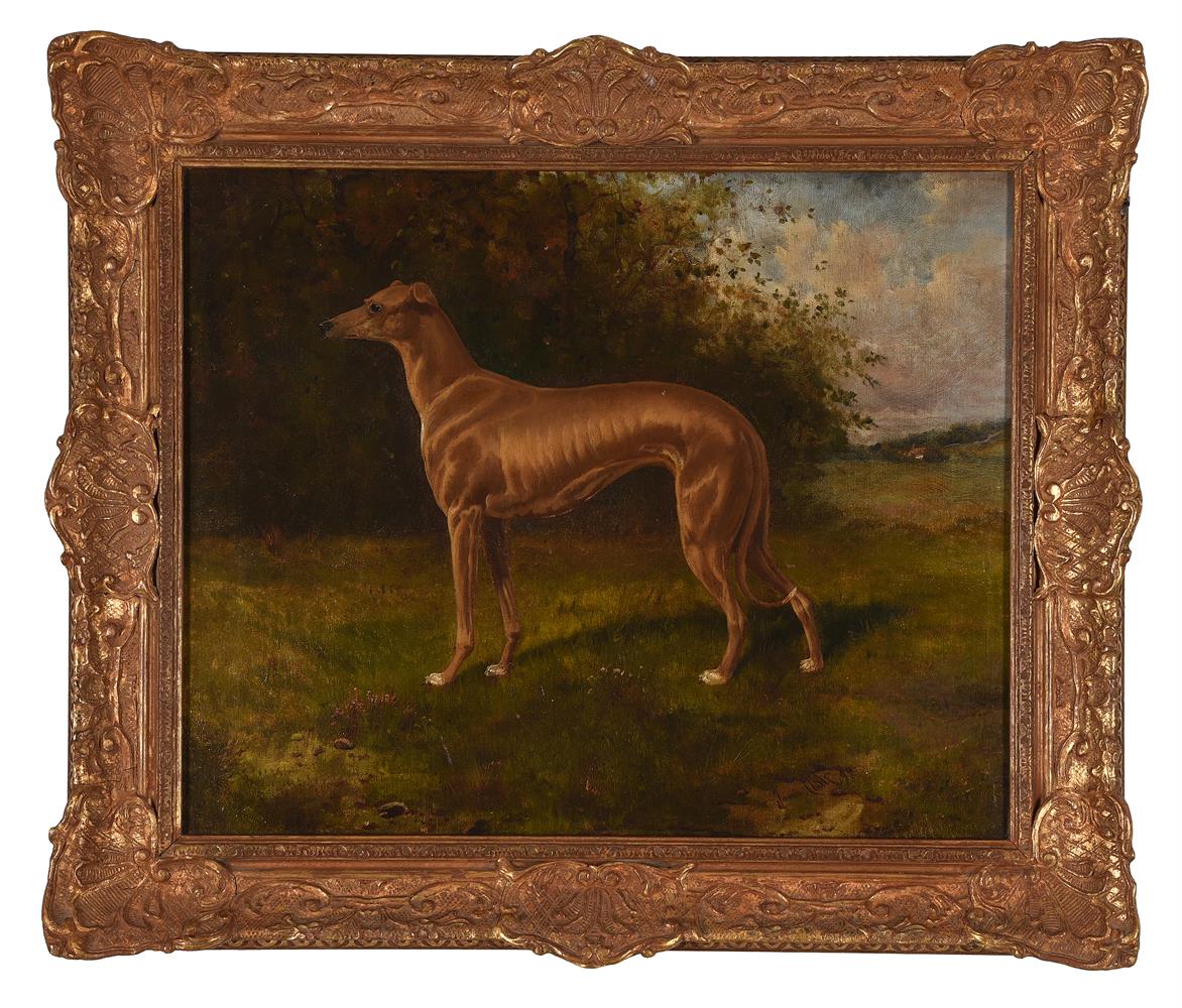 JAMES CLARK (BRITISH 1858-1943), A GREYHOUND - Image 2 of 3