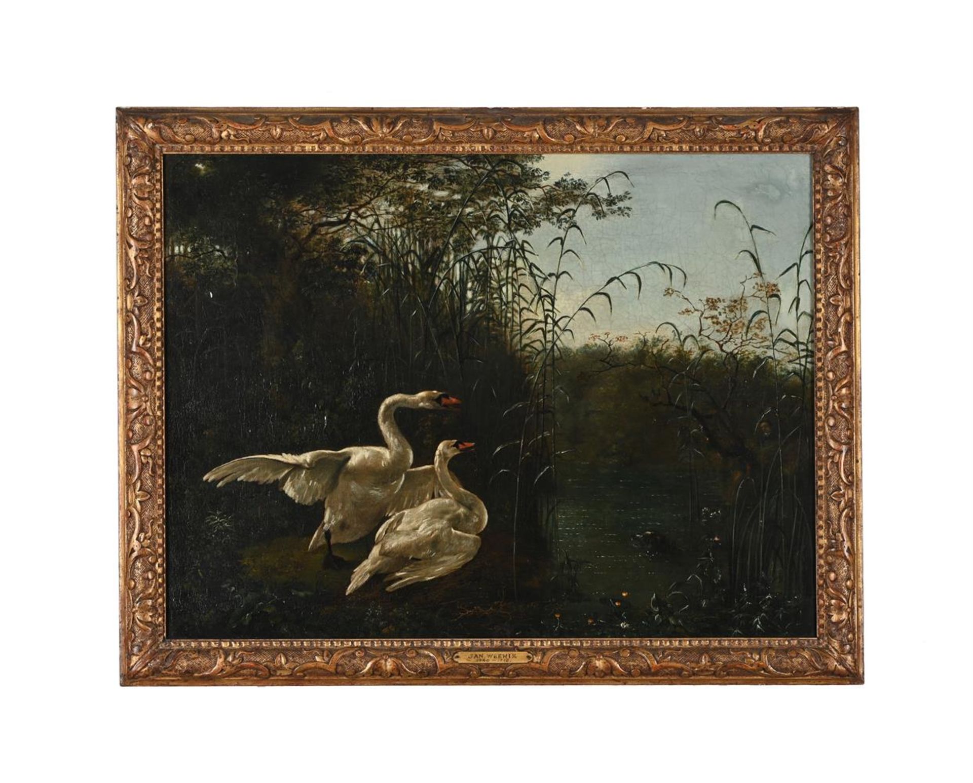 FOLLOWER OF JAN WEENIX, TWO SWANS DISTURBED BY A DOG - Image 2 of 3
