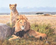 λ SIMON COMBES (BRITISH 1940-2004), A LION AND LIONESS, SERENGETI, TANZANIA