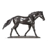 A LARGE AND IMPRESSIVE EQUESTRIAN BRONZE FIGURE OF A LIFE SIZE COLT, CONTEMPORARY