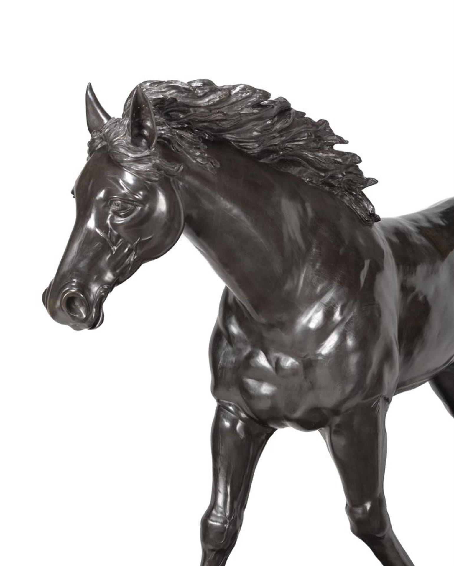 A LARGE AND IMPRESSIVE EQUESTRIAN BRONZE FIGURE OF A LIFE SIZE COLT, CONTEMPORARY - Image 5 of 6