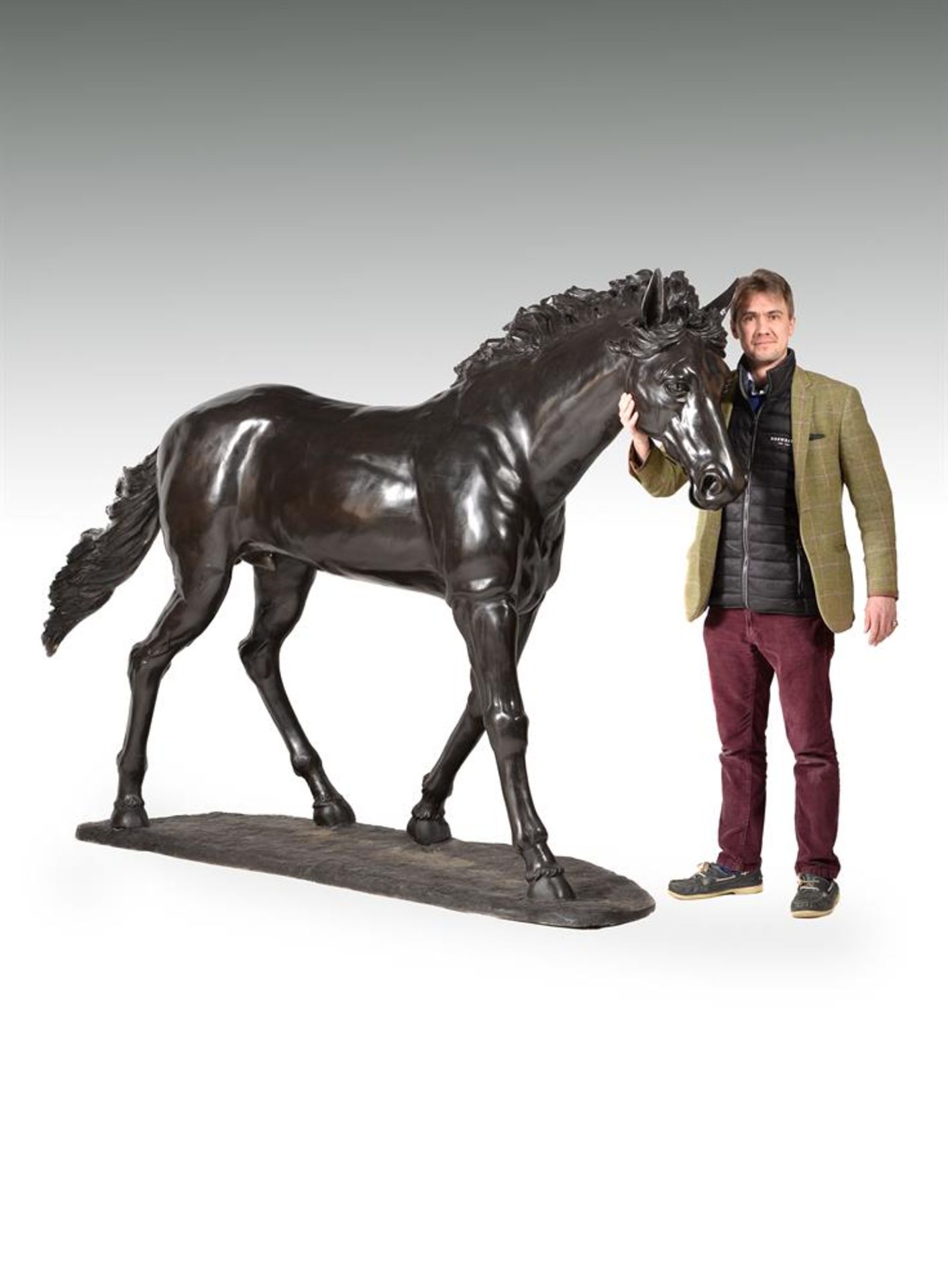 A LARGE AND IMPRESSIVE EQUESTRIAN BRONZE FIGURE OF A LIFE SIZE COLT, CONTEMPORARY - Image 6 of 6