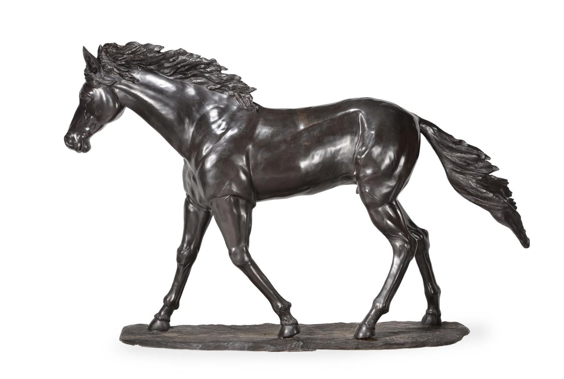 A LARGE AND IMPRESSIVE EQUESTRIAN BRONZE FIGURE OF A LIFE SIZE COLT, CONTEMPORARY - Image 2 of 6