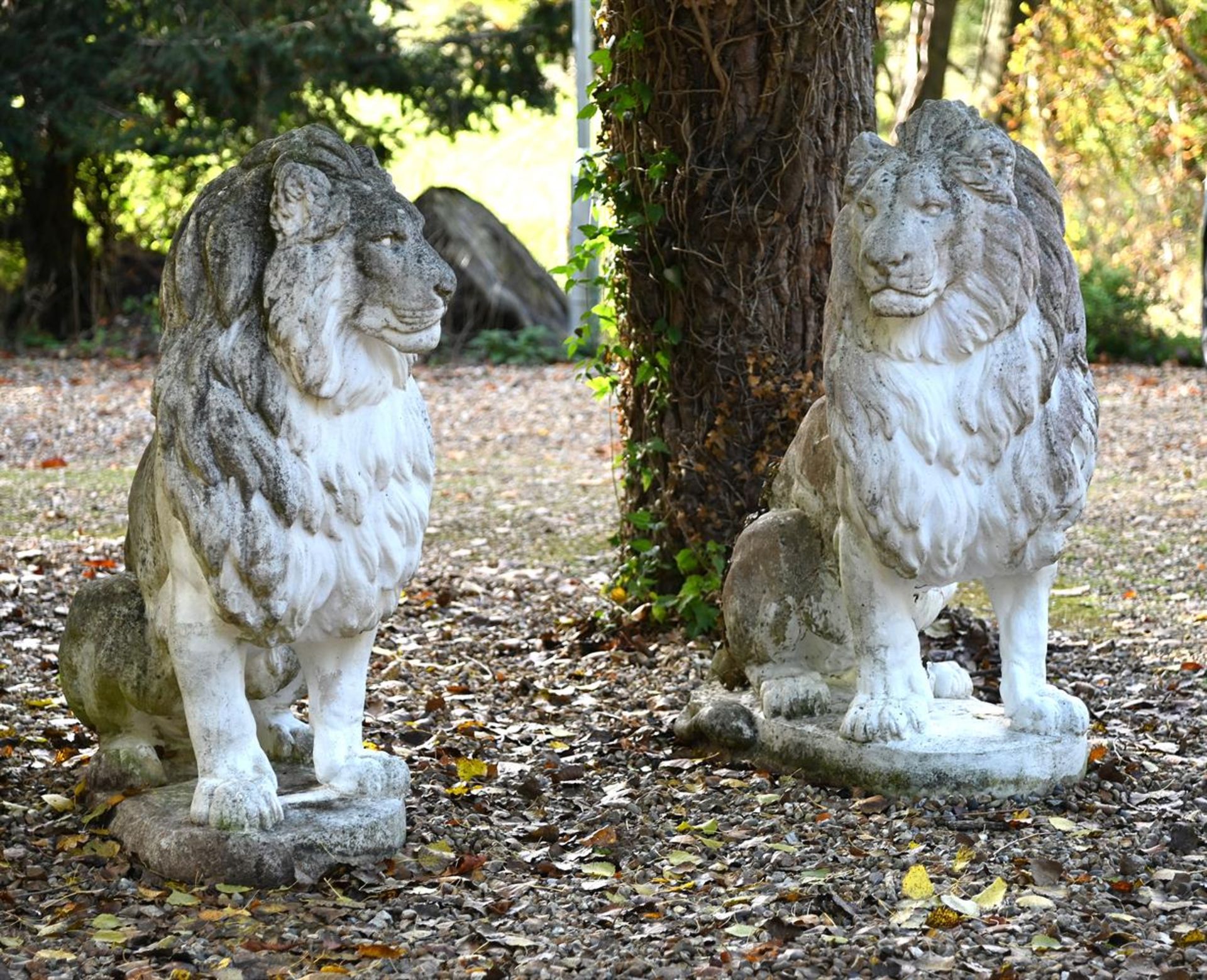 A LARGE PAIR OF COMPOSITION STONE SEATED LIONS, 20TH CENTURY - Image 2 of 2