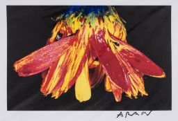 Ɵ Araki (Nobuyoshi) Painting Flower, one of 1000 copies signed by Araki and with original print, …