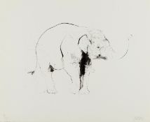 λ Dave White (b. 1971) Elephant II