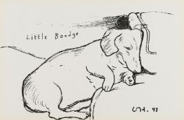 λ David Hockney (b.1937) Little Boodge