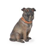 AN AUSTRIAN COLD PAINTED TERRACOTTA MODEL OF A SEATED PUG