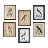 FOLLOWER OF SAMUEL DIXON, SIX STUDIES OF BIRDS