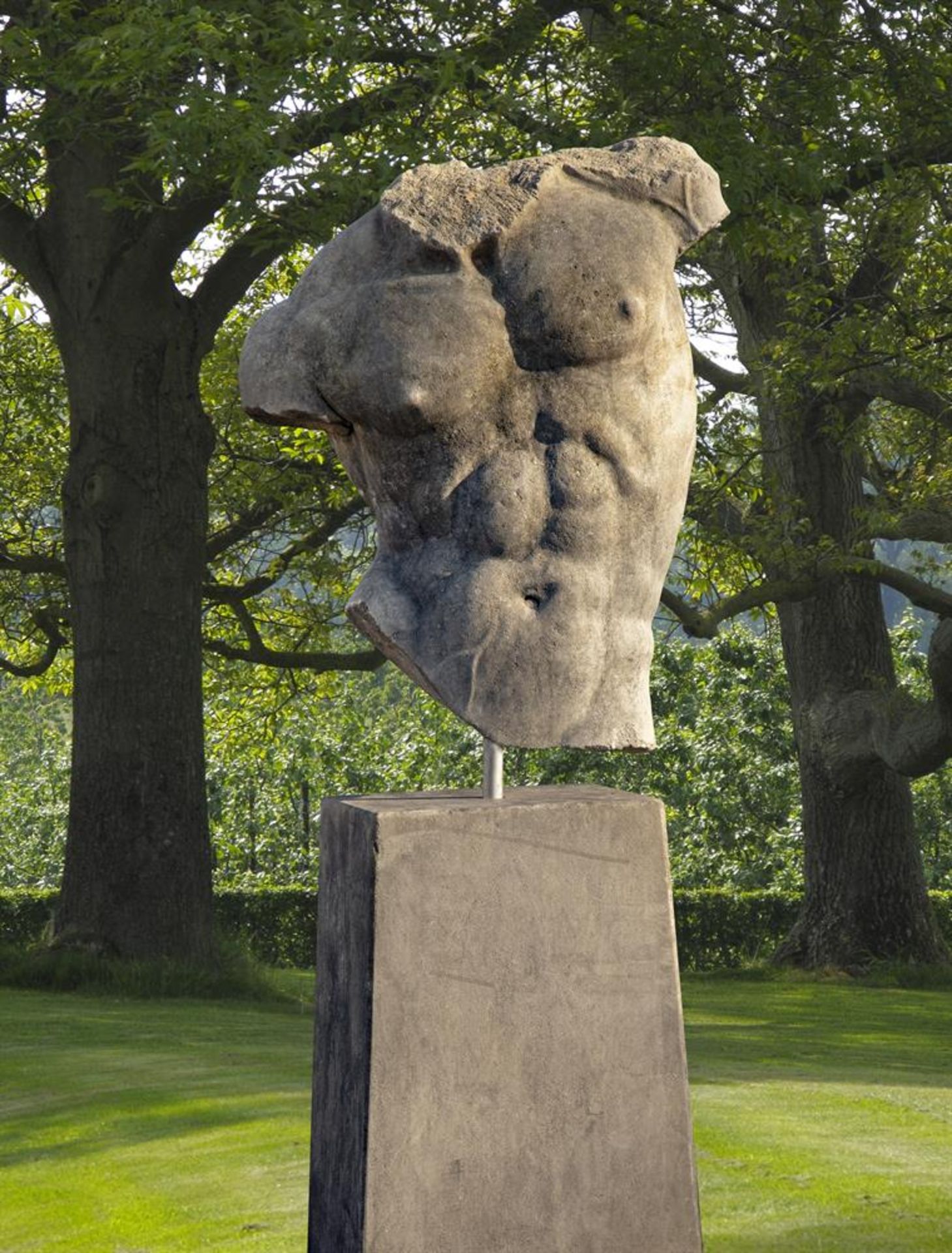 Ω A SCULPTED LIMESTONE MODEL OF A MALE TORSO