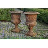 ‡ A PAIR OF CAST IRON PLANTERS