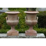 ‡ A PAIR OF TERRACOTTA VASES