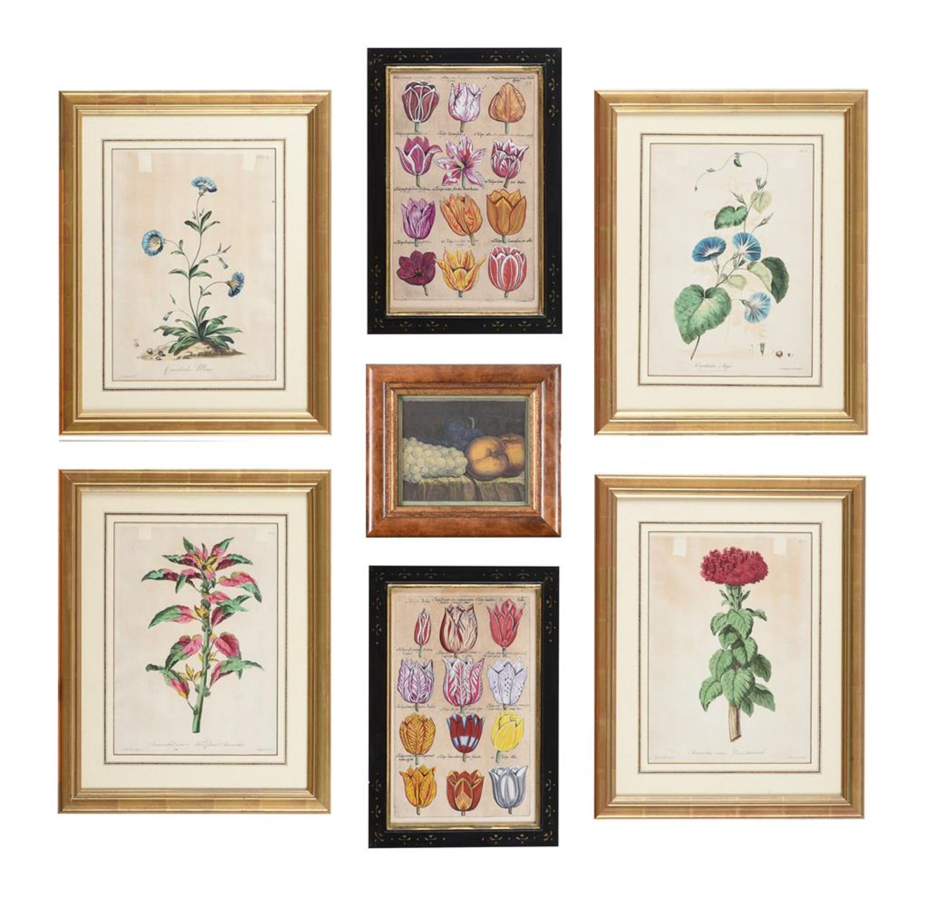 A SET OF FOUR HAND-COLOURED ENGRAVINGS OF FLOWERS