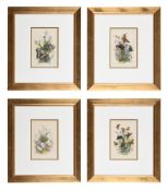 A SET OF TWELVE HAND COLOURED LITHOGRAPHS FROM THE GENERA AND SPECIES OF BRITISH BUTTERFLIES