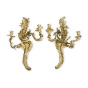 A LARGE PAIR OF FRENCH ORMOLU ROCOCO THREE BRANCH WALL LIGHTS, CONTEMPORARY