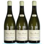 2018 Etienne Sauzet, Puligny-Montrachet