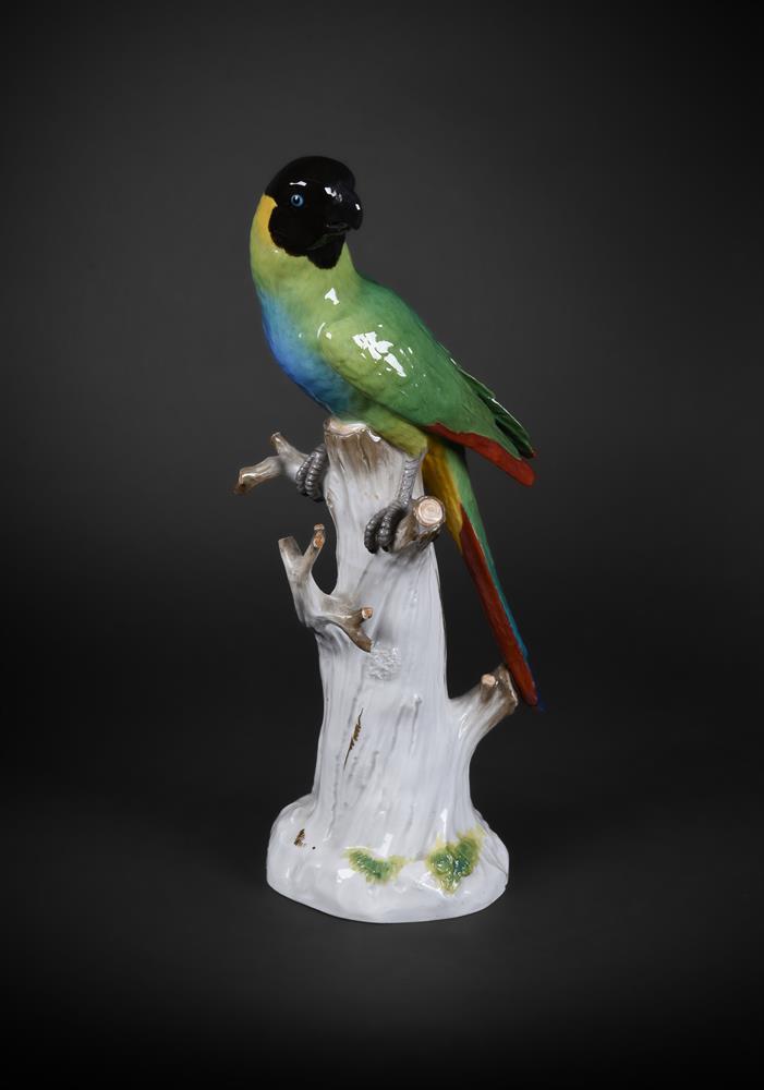 A MEISSEN MODEL OF A PARAKEET