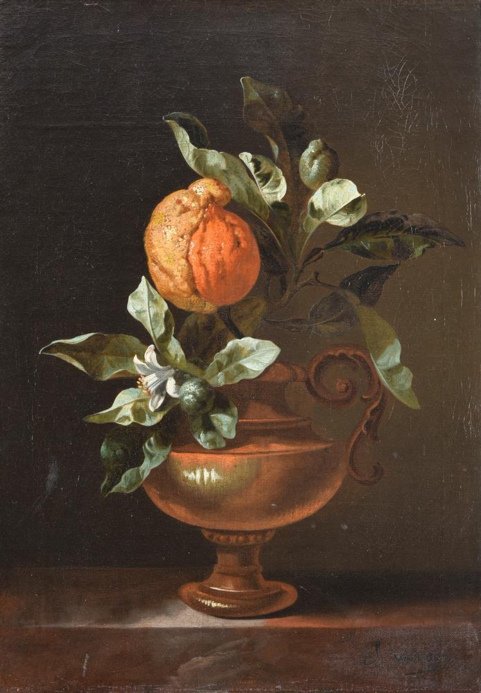 ATTRIBUTED TO JAN FRANS VAN SON (DUTCH 1658-1718), A STILL LIFE WITH ORANGE BLOSSOM IN AN URN