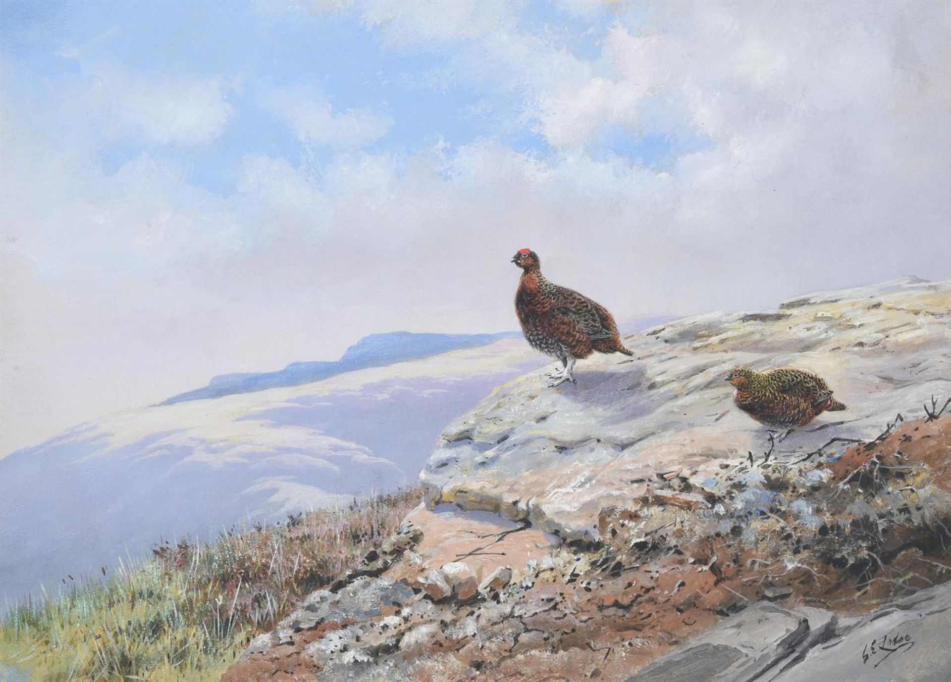 λ GEORGE EDWARD LODGE (BRITISH 1860-1954), RED GROUSE ON A ROCKY OUTCROP