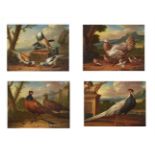 CIRCLE OF MARMADUKE CRADDOCK (BRITISH 1660-1716), A HEN WITH CHICKS; PIGEONS; TWO WITH PHEASANTS (4)