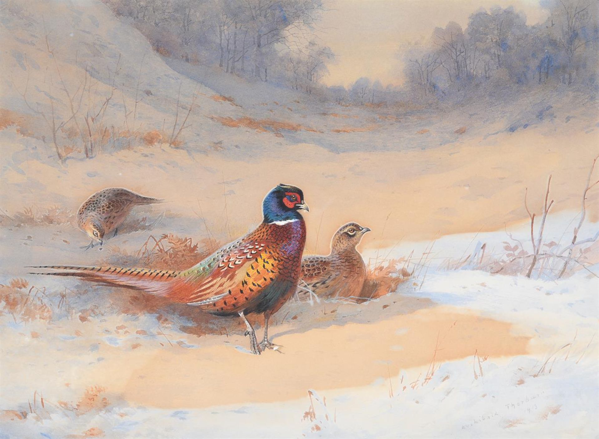 ARCHIBALD THORBURN (BRITISH 1860-1935), PHEASANTS IN THE SNOW