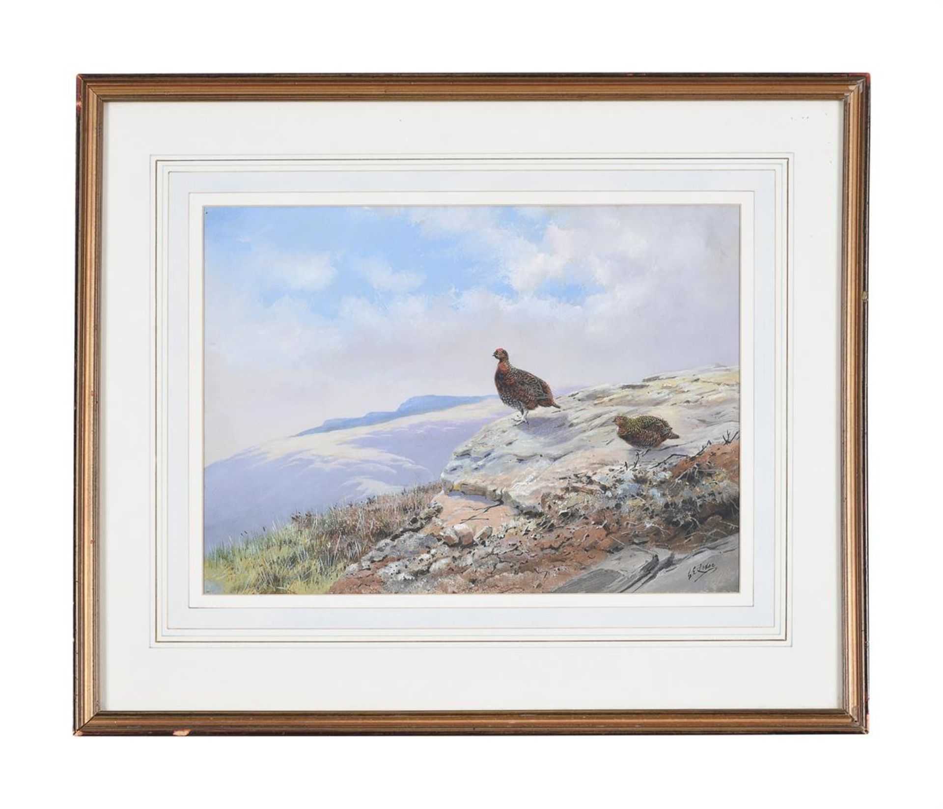 λ GEORGE EDWARD LODGE (BRITISH 1860-1954), RED GROUSE ON A ROCKY OUTCROP - Image 2 of 4