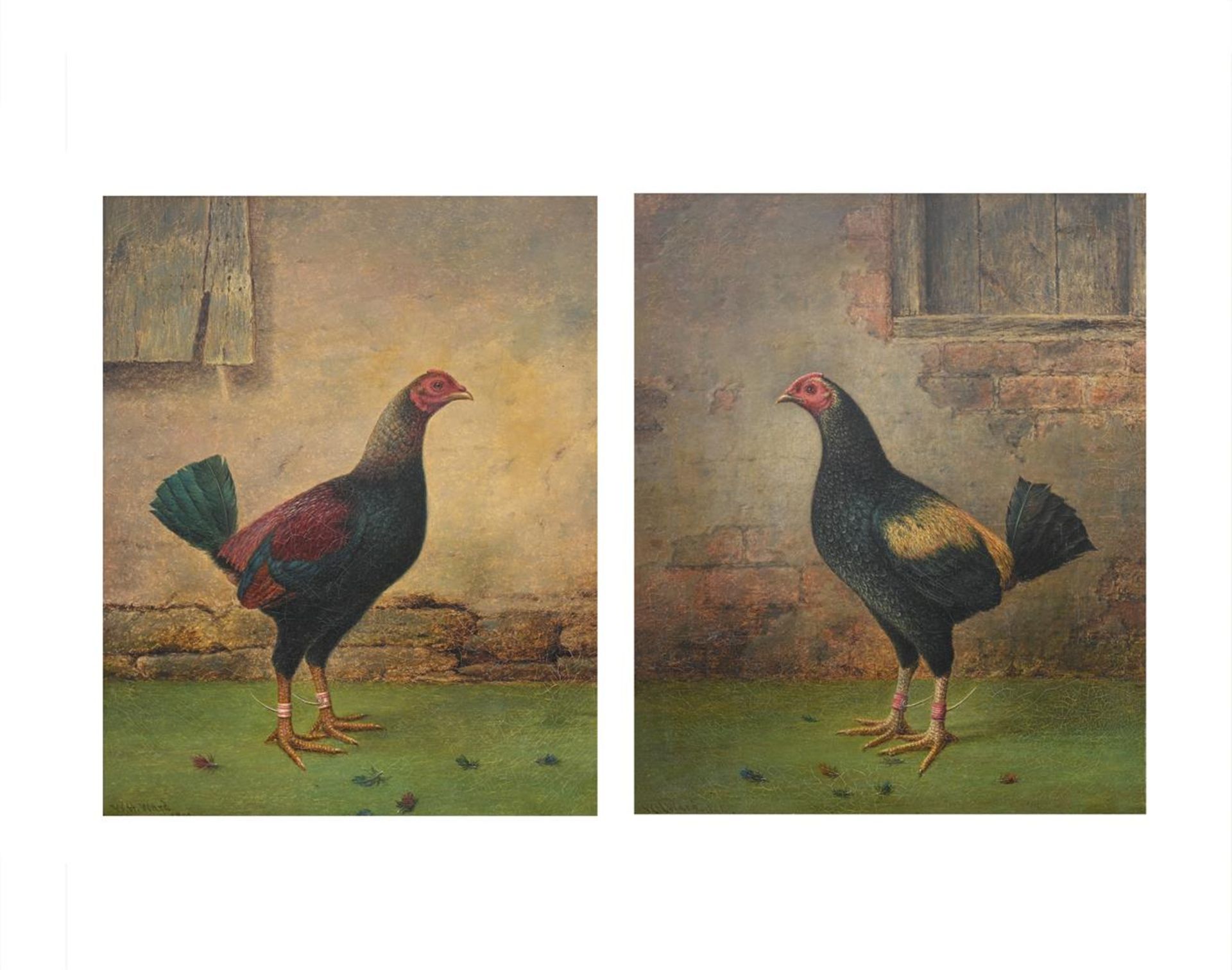 WILLIAM H. WARD (BRITISH FL.1850-1891), A PAIR OF FIGHTING COCKS (2)