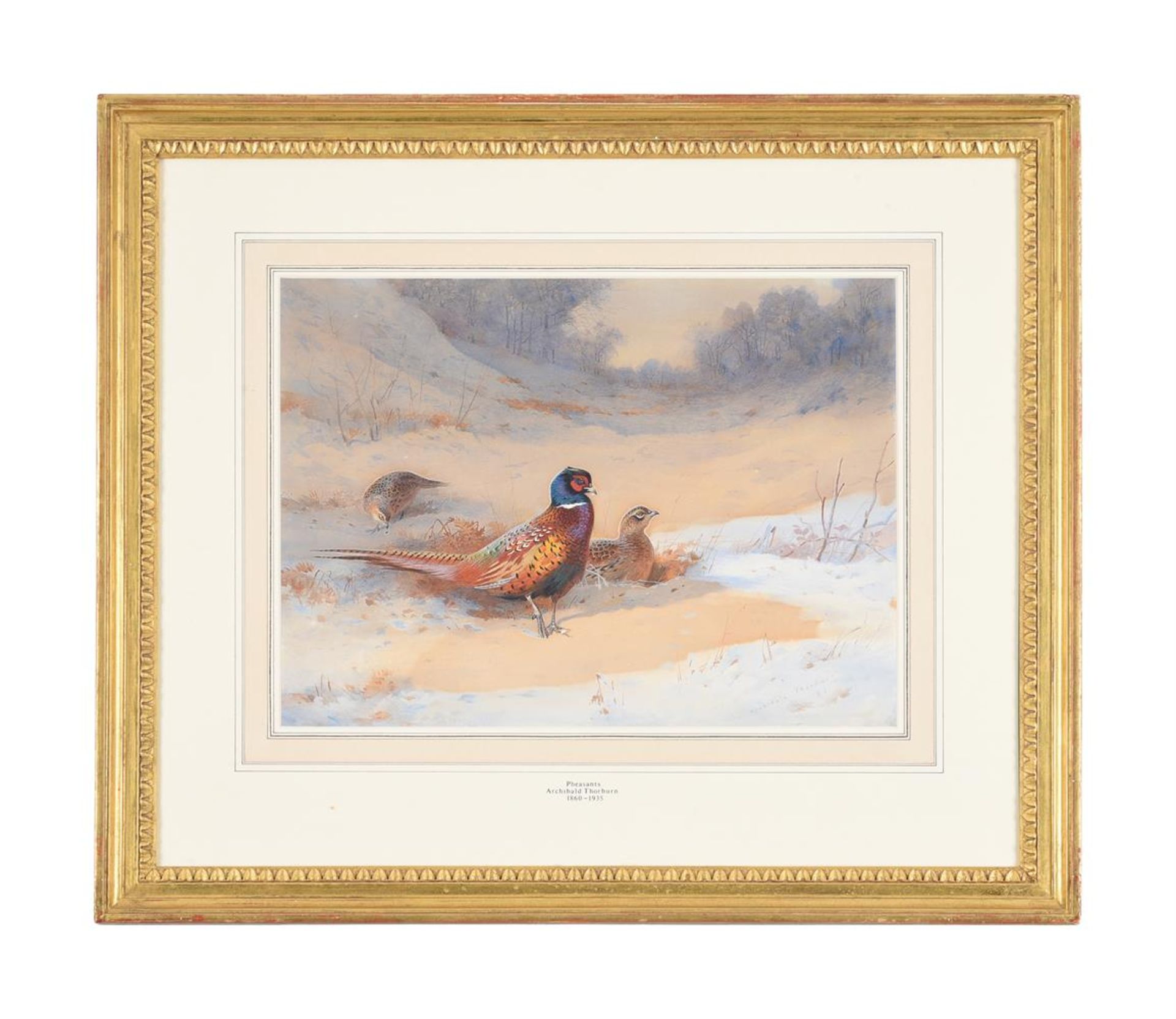 ARCHIBALD THORBURN (BRITISH 1860-1935), PHEASANTS IN THE SNOW - Image 2 of 4