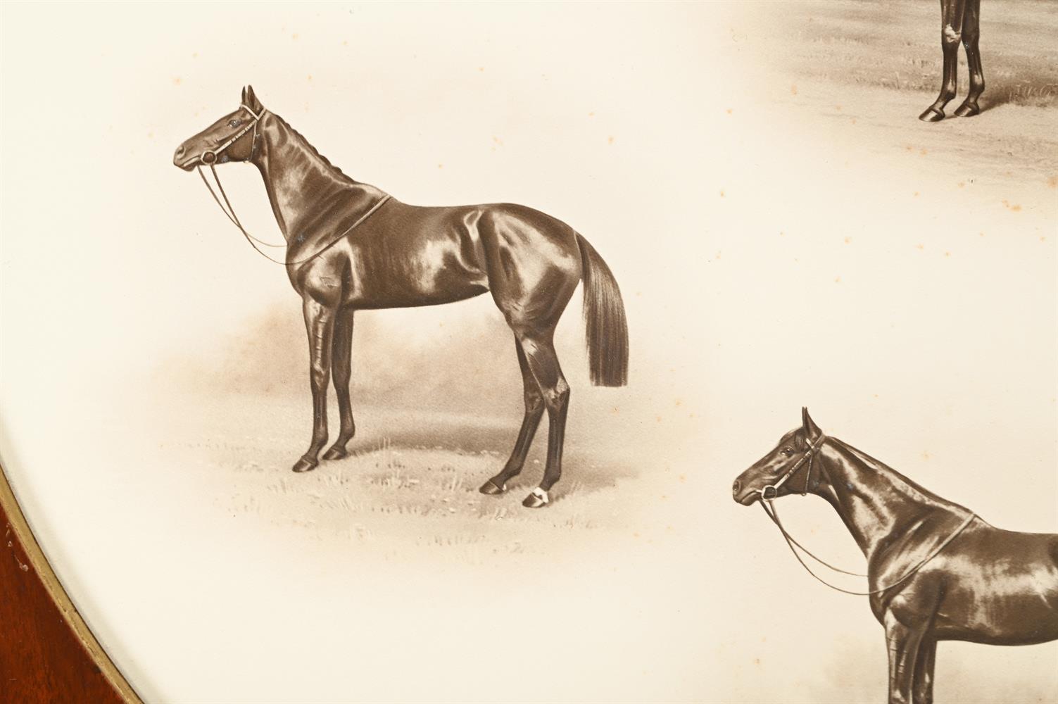 A MAHOGANY FRAMED PHOTOGRAPH OF ASCOT RACEHORSES, DATED 1919 - Image 2 of 2