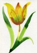 Annabel Fairfax, Yellow Tulip, 2023