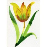 Annabel Fairfax, Yellow Tulip, 2023