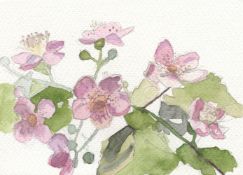 Anne-Marie Butlin, Bramble Flowers, 2023