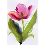 Annabel Fairfax, Pink Parrot Tulip, 2023