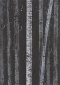 Christopher Gee, Birch Trees at Night, 2023