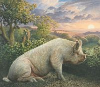 λ JAMES LYNCH (BRITISH B. 1956), MALCOLM, MIDDLE WHITE PIG